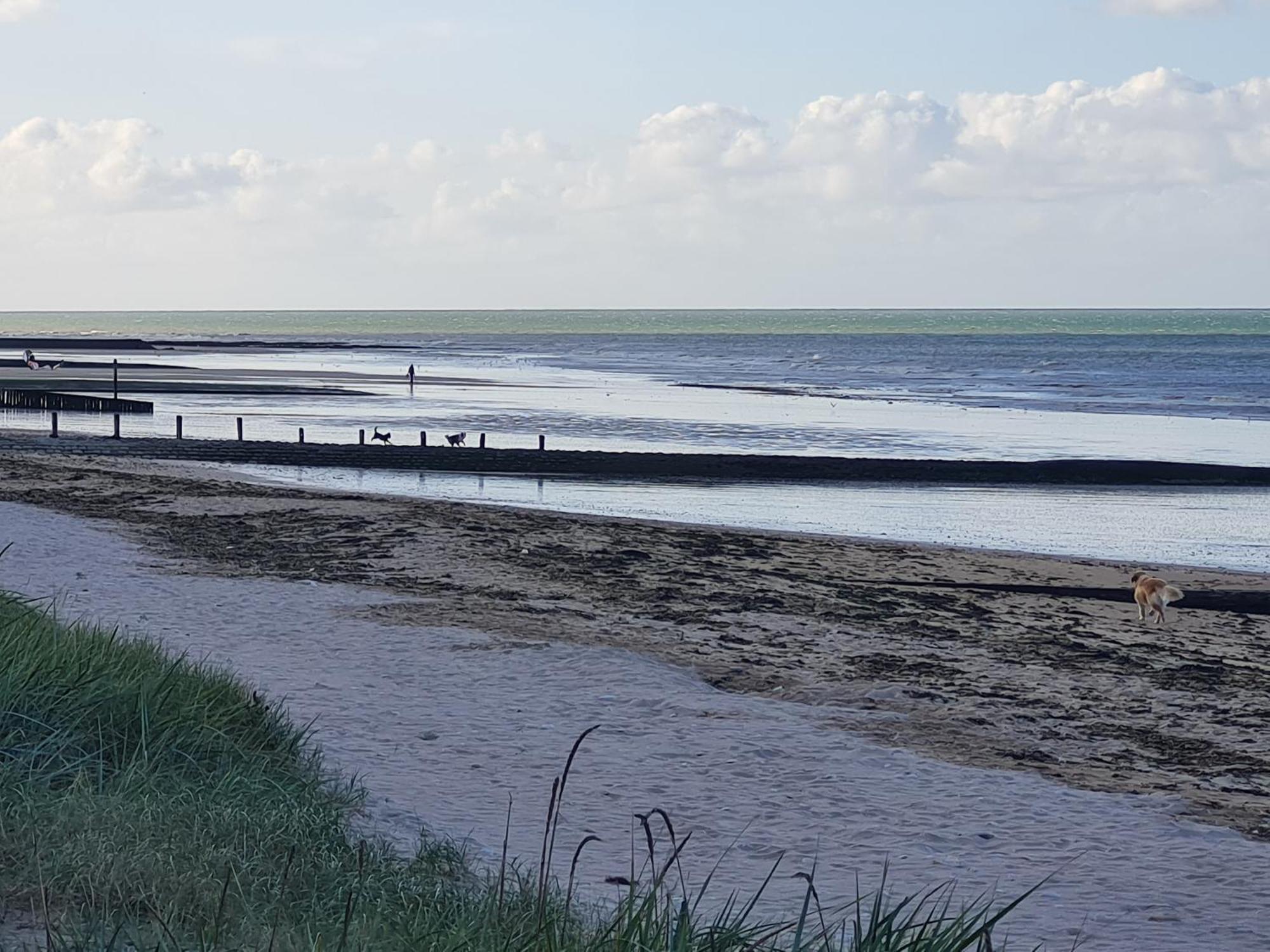 Les Pieds Dans L'Eau - Acces Direct A La Plage Bernières-sur-Mer Esterno foto